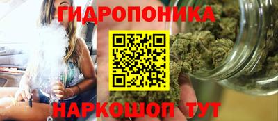 МДМА Новозыбков