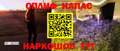 скорость Новодвинск