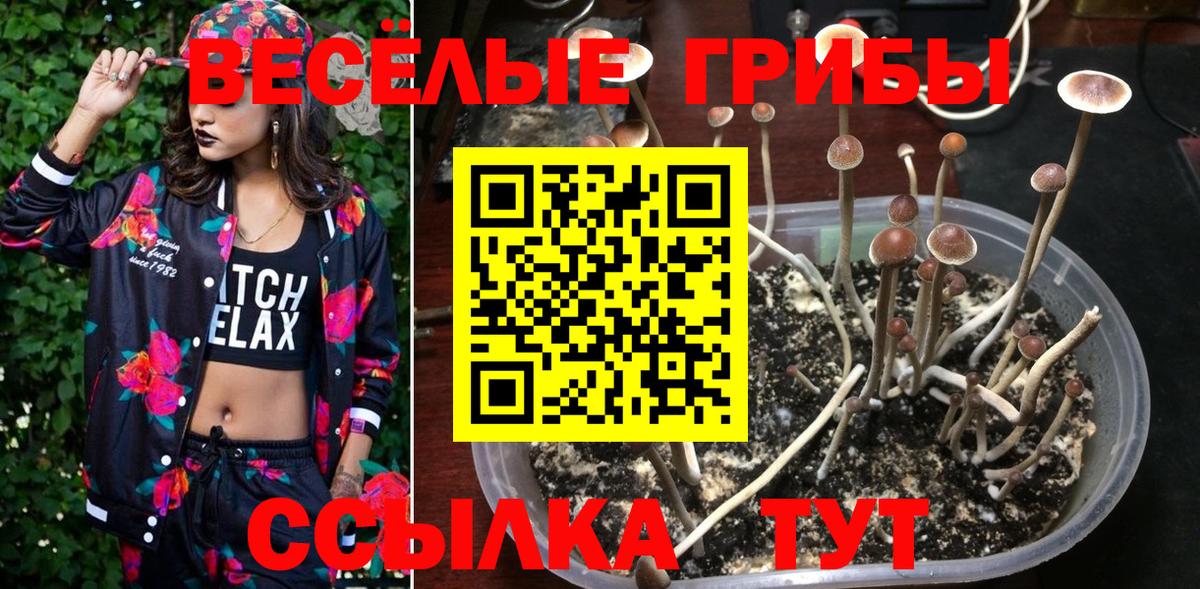 Галлюциногенные грибы мухоморы Чайковский