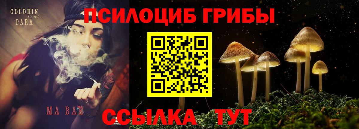 Псилоцибиновые грибы ЛСД  Галлюциногенные грибы GOLDEN TEACHER  Вход с VPN  Чайковский 